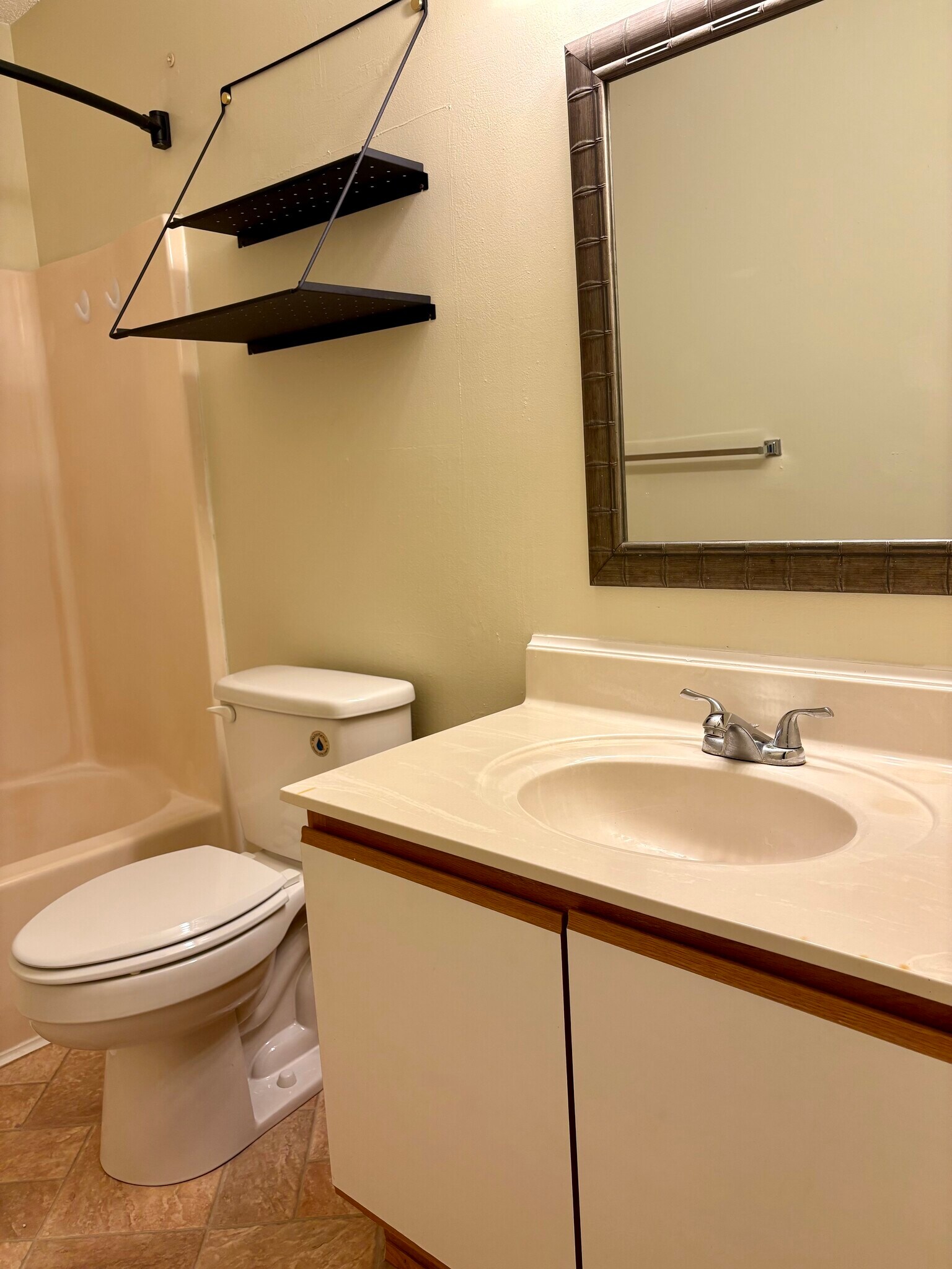 Vanity, toilet, tub in master bathroom - 208 Quarter Trl