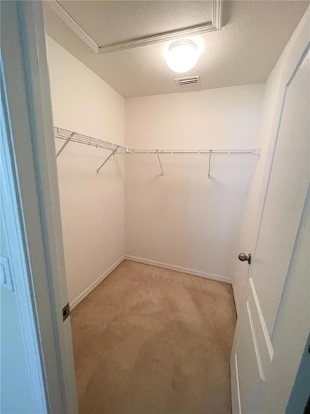 Building Photo - 7538 Turtle View Dr