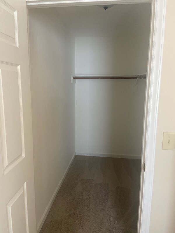 Building Photo - 801 Moultrie Ct