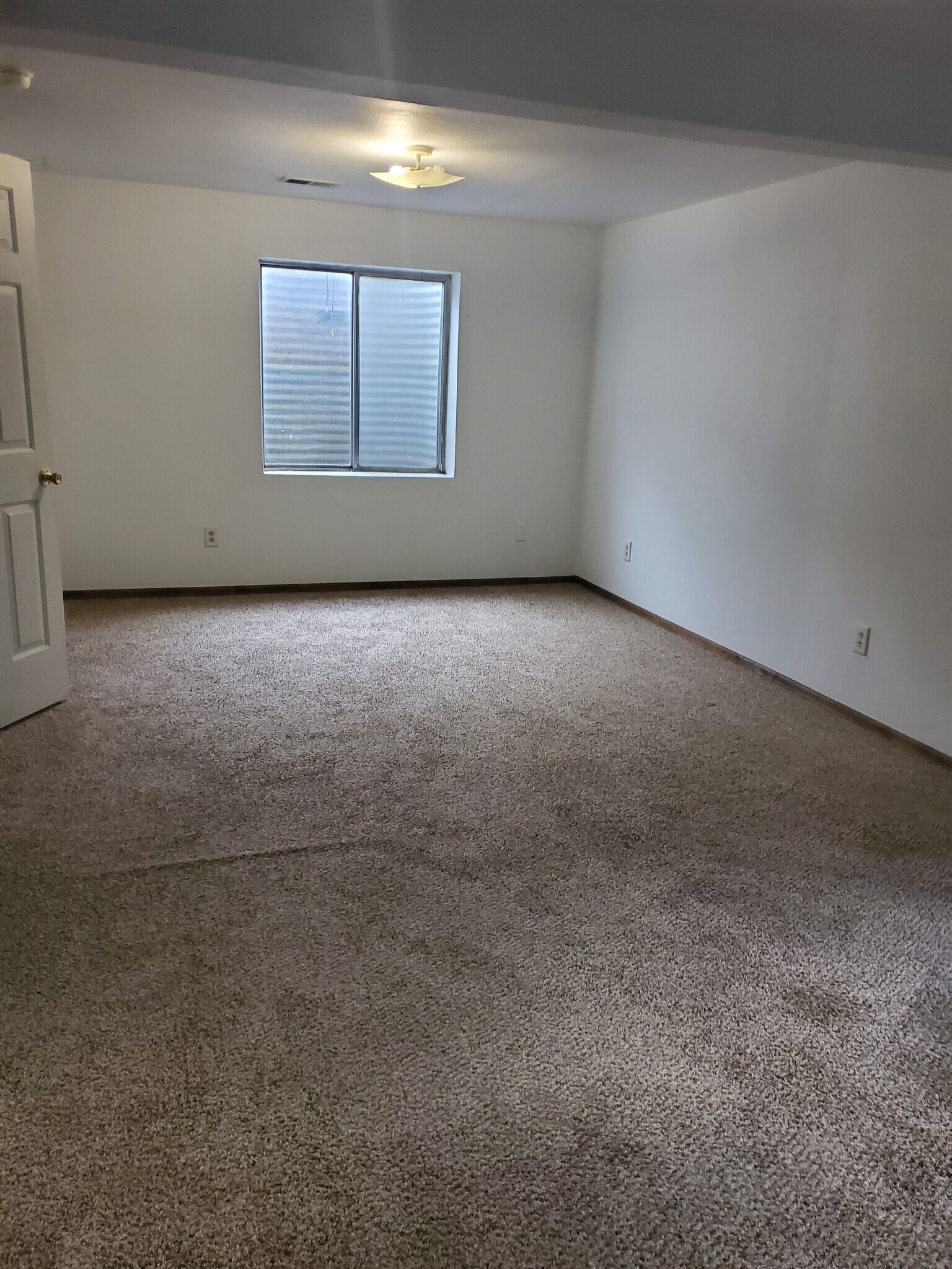 Basement family room / bedroom - 1078 N Pond Dr