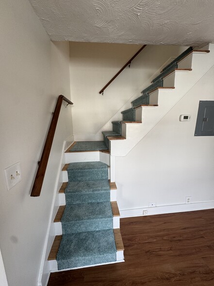 New Carpet on the Stairs - 178 Carroll St