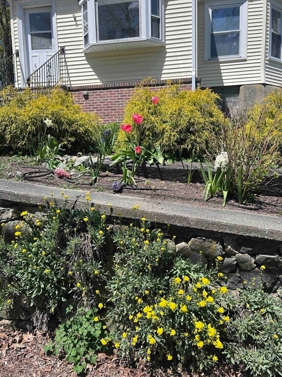 Building Photo - 61 Wollaston Ave