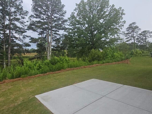 Building Photo - New Construction Five Bedroom Avail Now