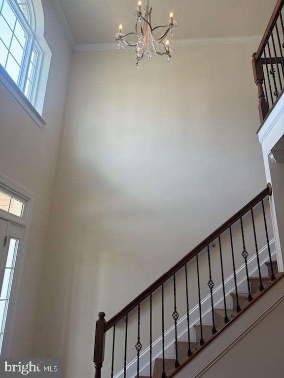 Building Photo - 4506 Wycliffe Ln