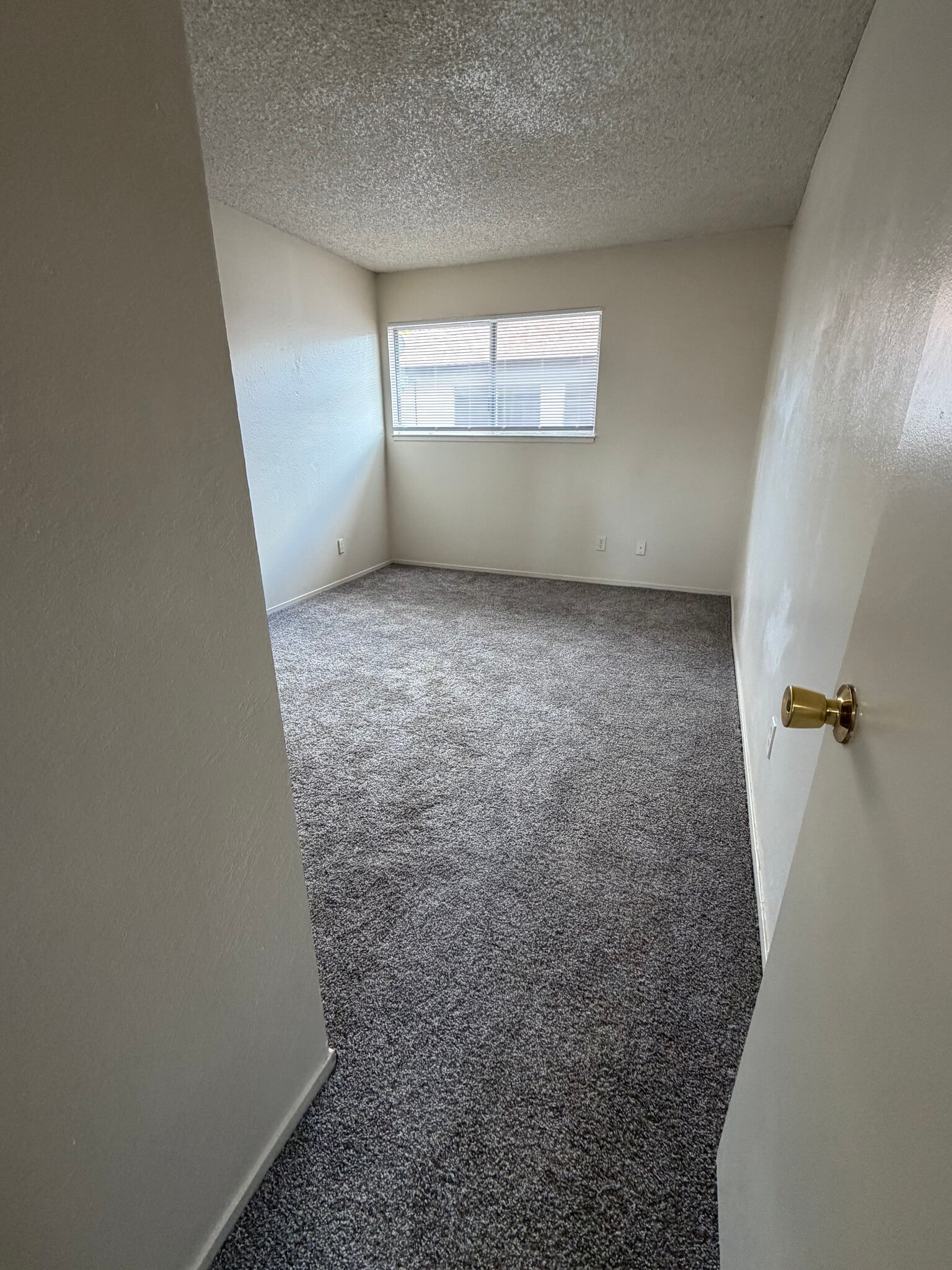 Building Photo - 3321 Santa Rosa Ct
