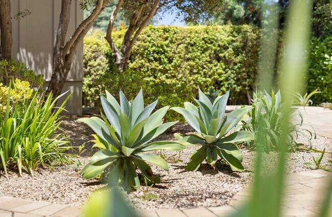 Building Photo - Spacious Menlo Park Retreat with 6 Bedroom...
