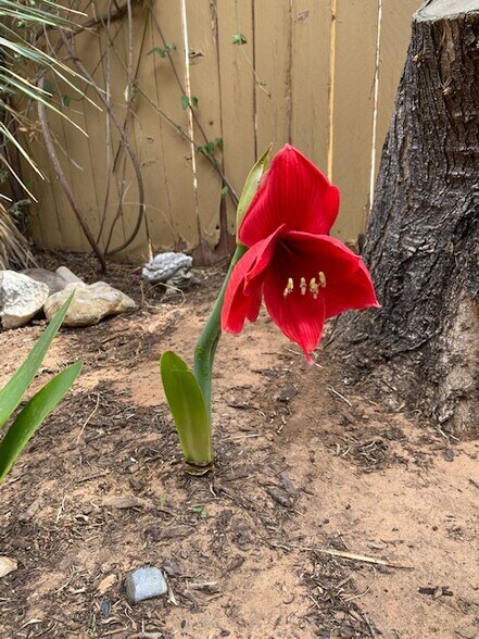 Building Photo - 105 Quail Run