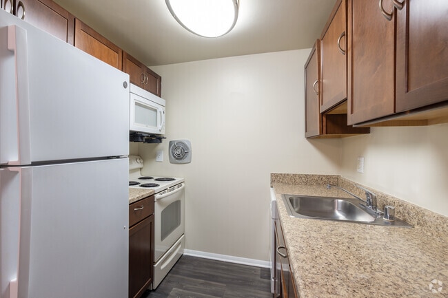 Interior Photo - Birches