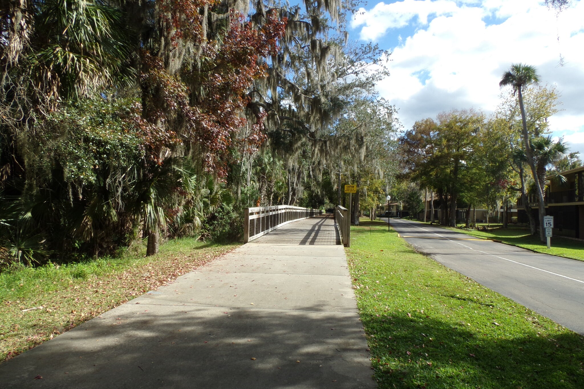 Building Photo - 170 Palmetto Woods Ct