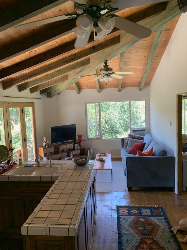 Building Photo - 1734 Topanga Skyline Dr