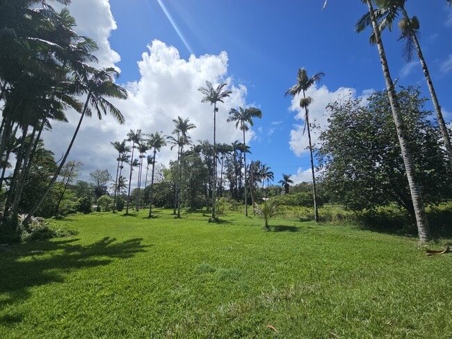 Building Photo - 1100 Ainalako Rd