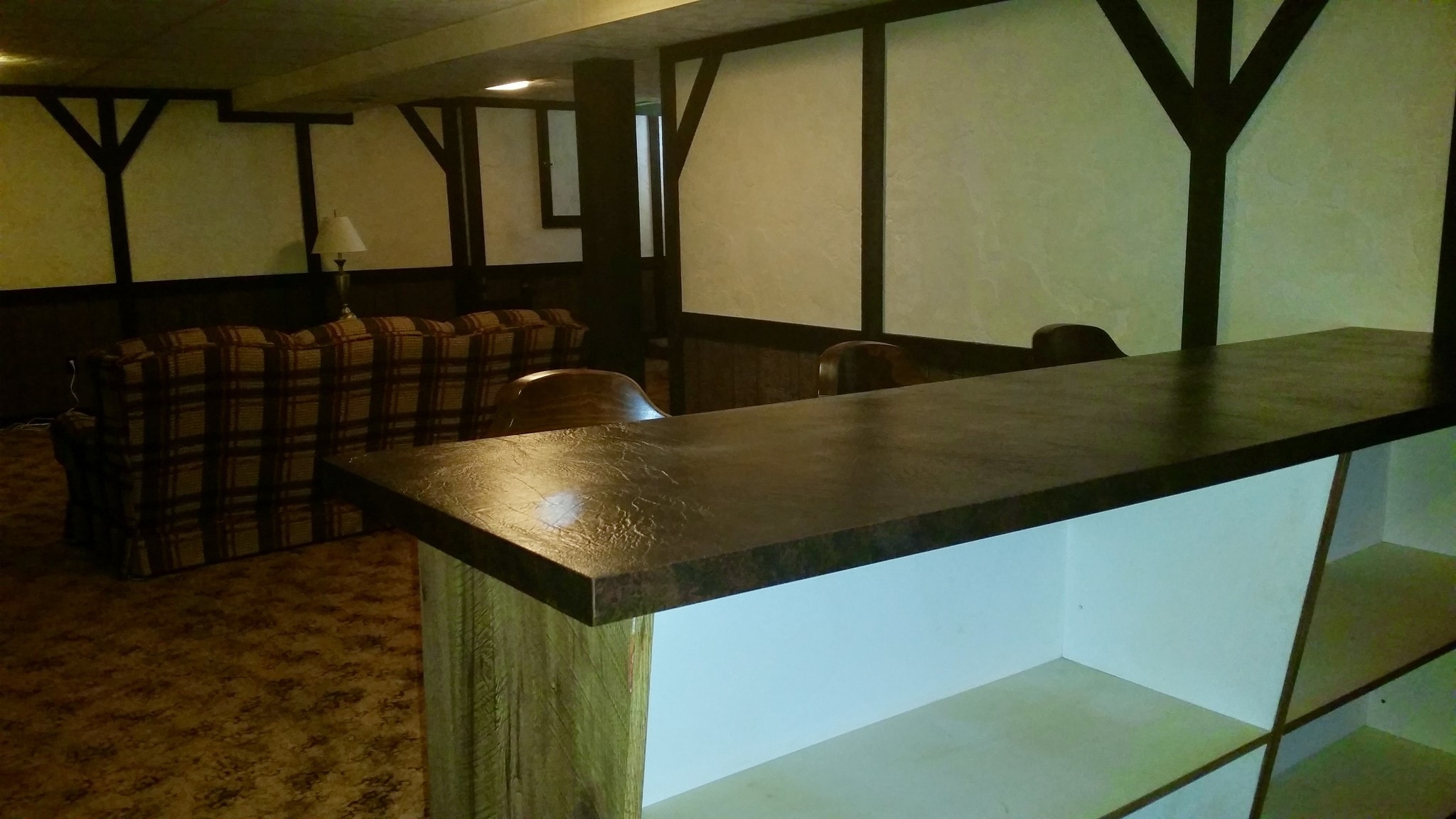 Finished Basement - 10417 Hobkirk Dr