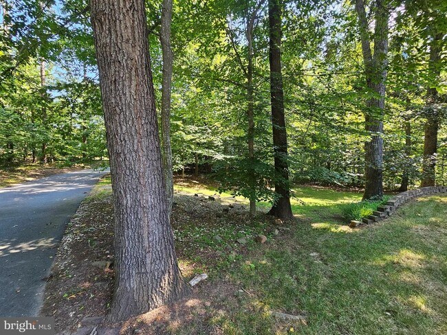 Building Photo - 381 Longwood Dr