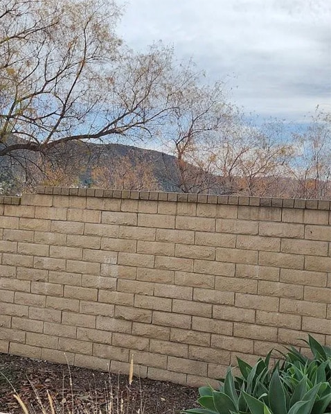 Private Patio View - 10341 Azuaga St