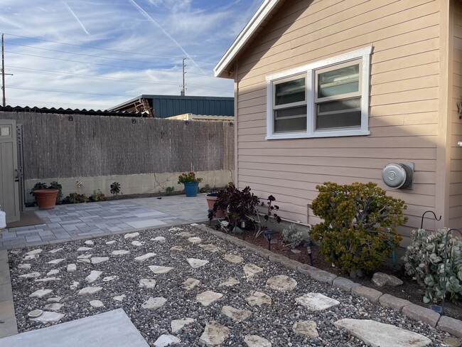 Side Yard - 24683 Woodward Ave