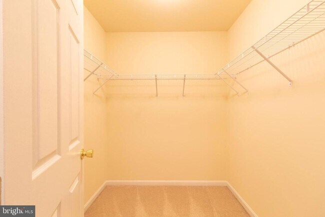 Building Photo - 8401 Hollow Tree Ln