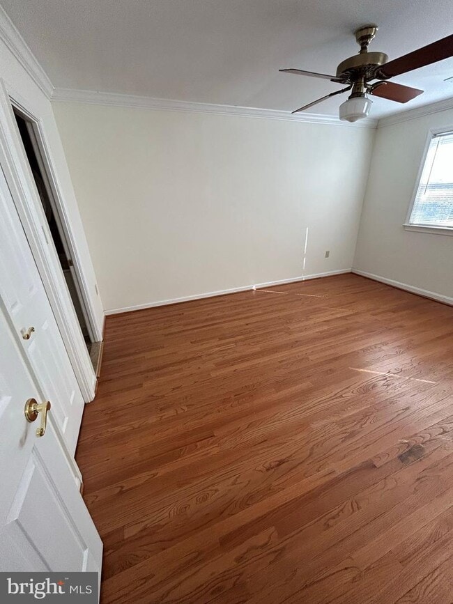 Building Photo - 3301 Spring Ln