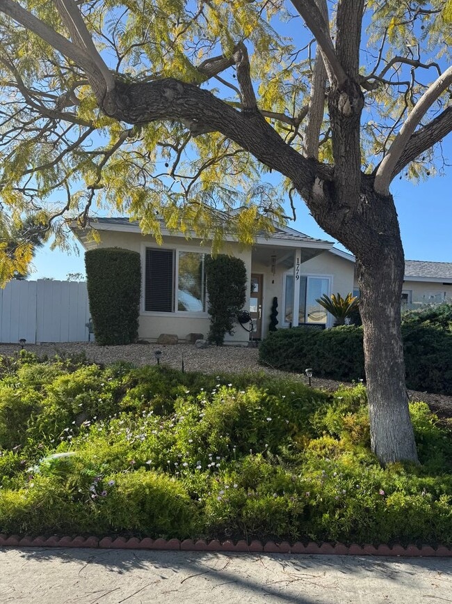 Building Photo - +55 Community, 2 BD with AC