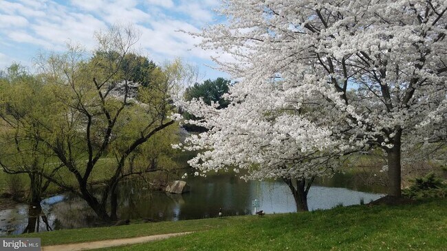 Building Photo - 10628 Sawdust Cir
