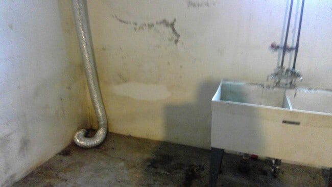 Building Photo - A must see home!