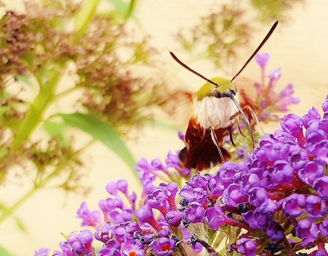 Building Photo - 1310 Hollow Rd