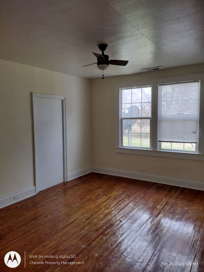 Building Photo - Luce Pine