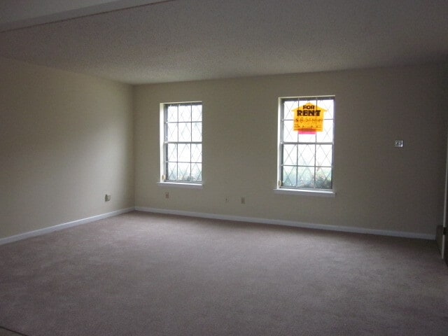 Living room downstairs - 203 Bourbon St