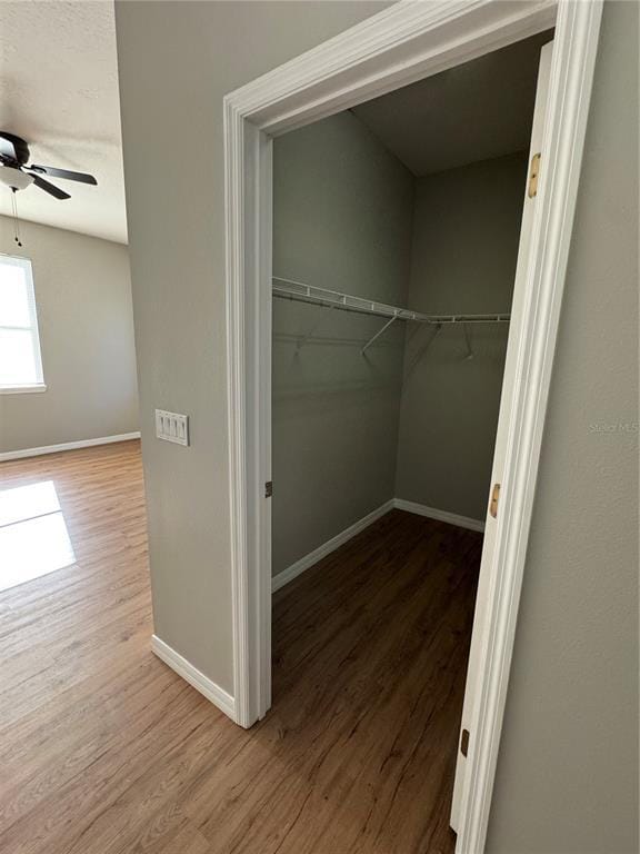 Building Photo - 559 Hiawatha Palm Pl