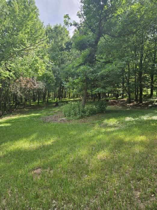 Building Photo - 1 bedroom lower level duplex in the country