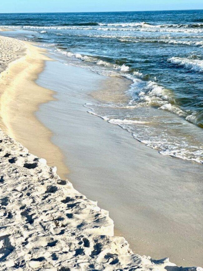 Building Photo - 497 Plantation Rd