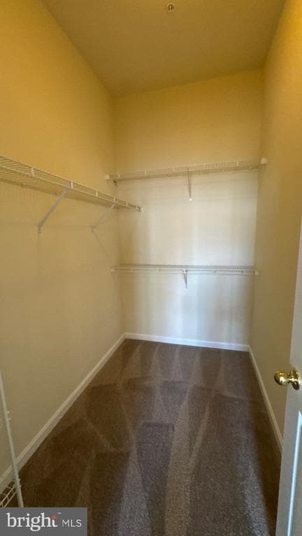 Building Photo - 10715 Symphony Way