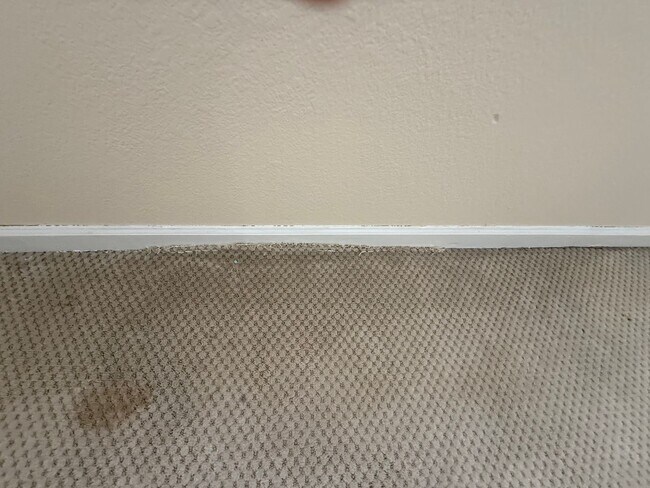 Building Photo - SOUTH SAN JOSE - Warm and Inviting condo in desirable neighborhood