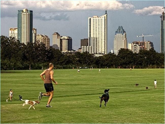 Building Photo - 1813 Dexter St