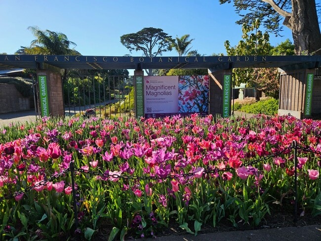 Building Photo - 1498 9th Ave