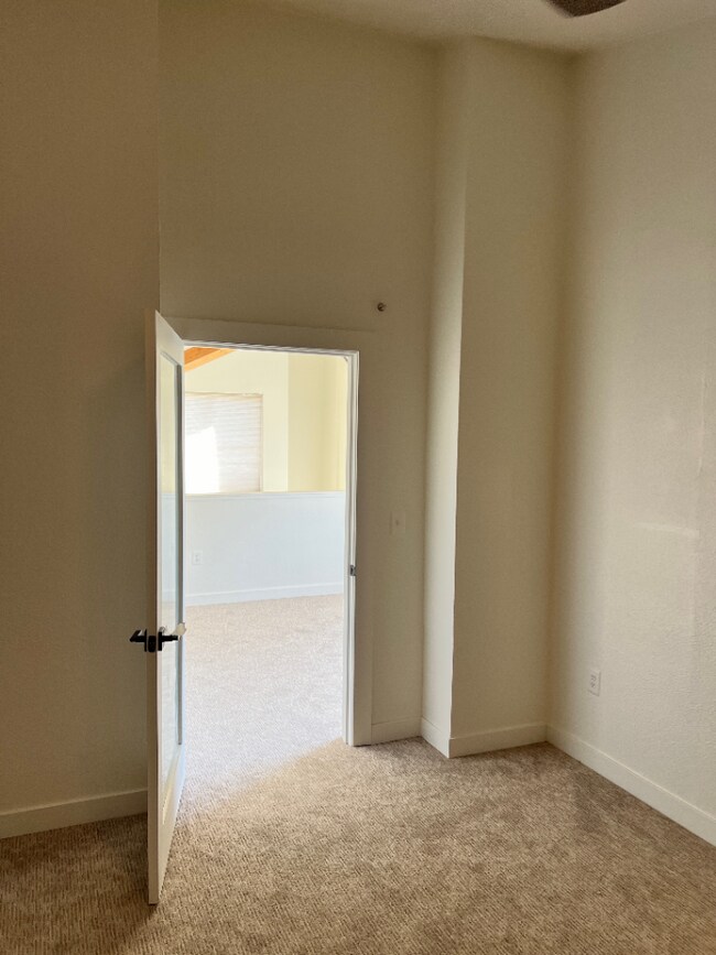 Building Photo - Fully-remodeled RiNo Townhome!