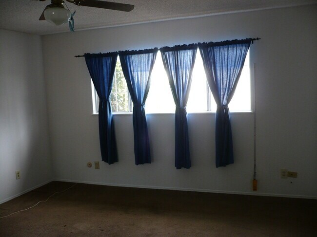 Building Photo - 4 Bed, 2.5 Bath House w/2-Car Garage & Pool