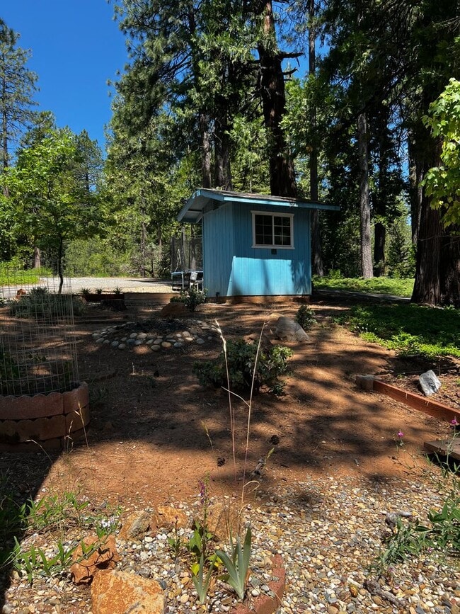 Building Photo - Pioneer Home
