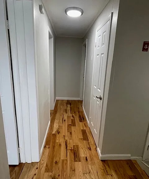 Building Photo - Fully Renovated 4-Bedroom Townhouse Available for Rent!