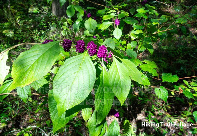 Building Photo - 253 Clarys Run