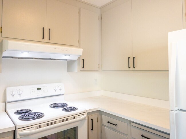 Building Photo - BRIGHT Remodeled Downtown 1BR/1BA Flat! Pa...