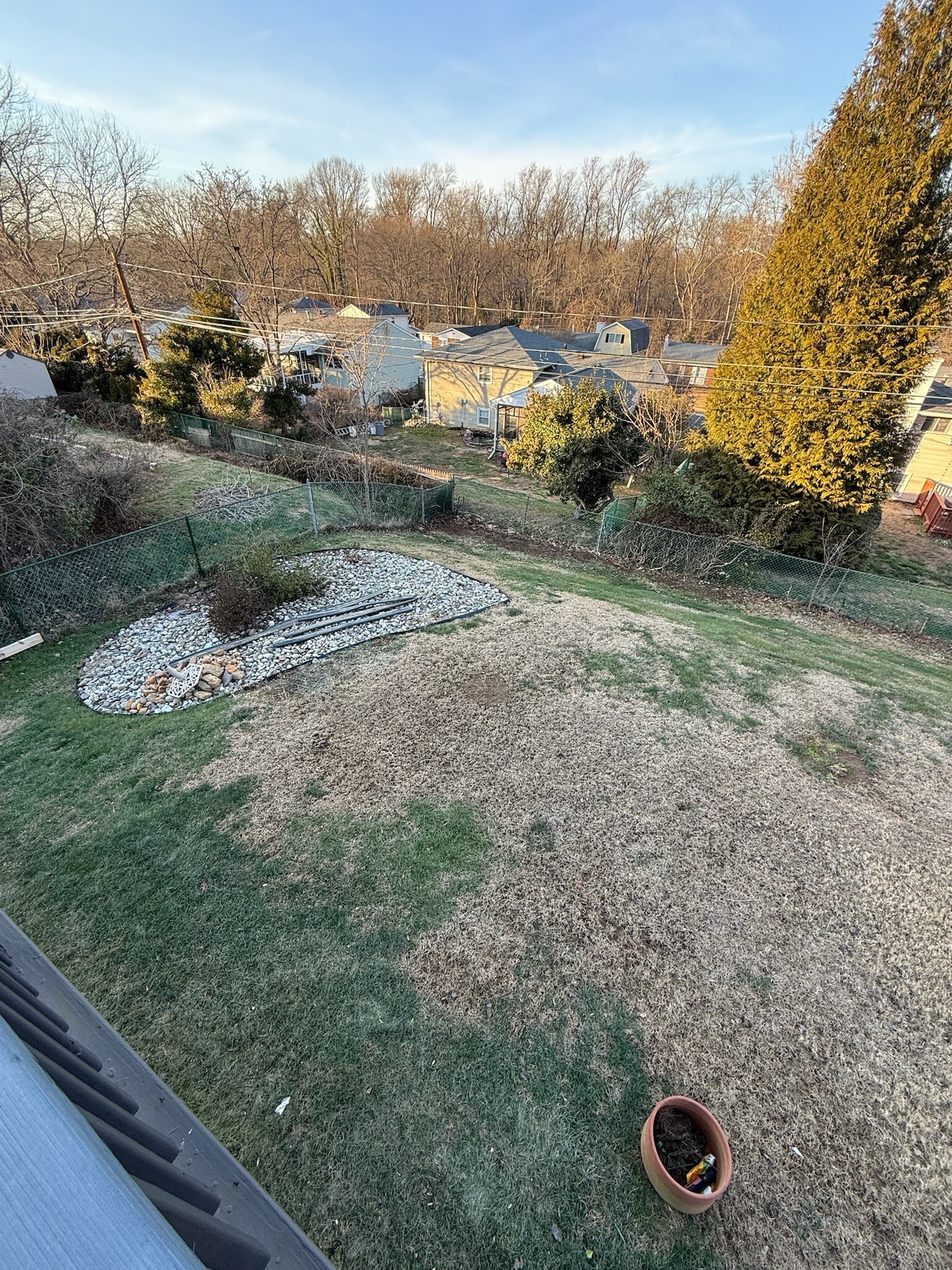 Backyard - 256 S Dillwyn Rd