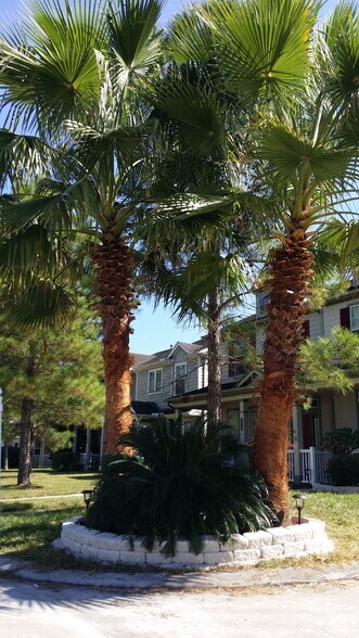 Lush landscaping with Great Palm Trees Curb Appeal! - 2110 village crossing trail