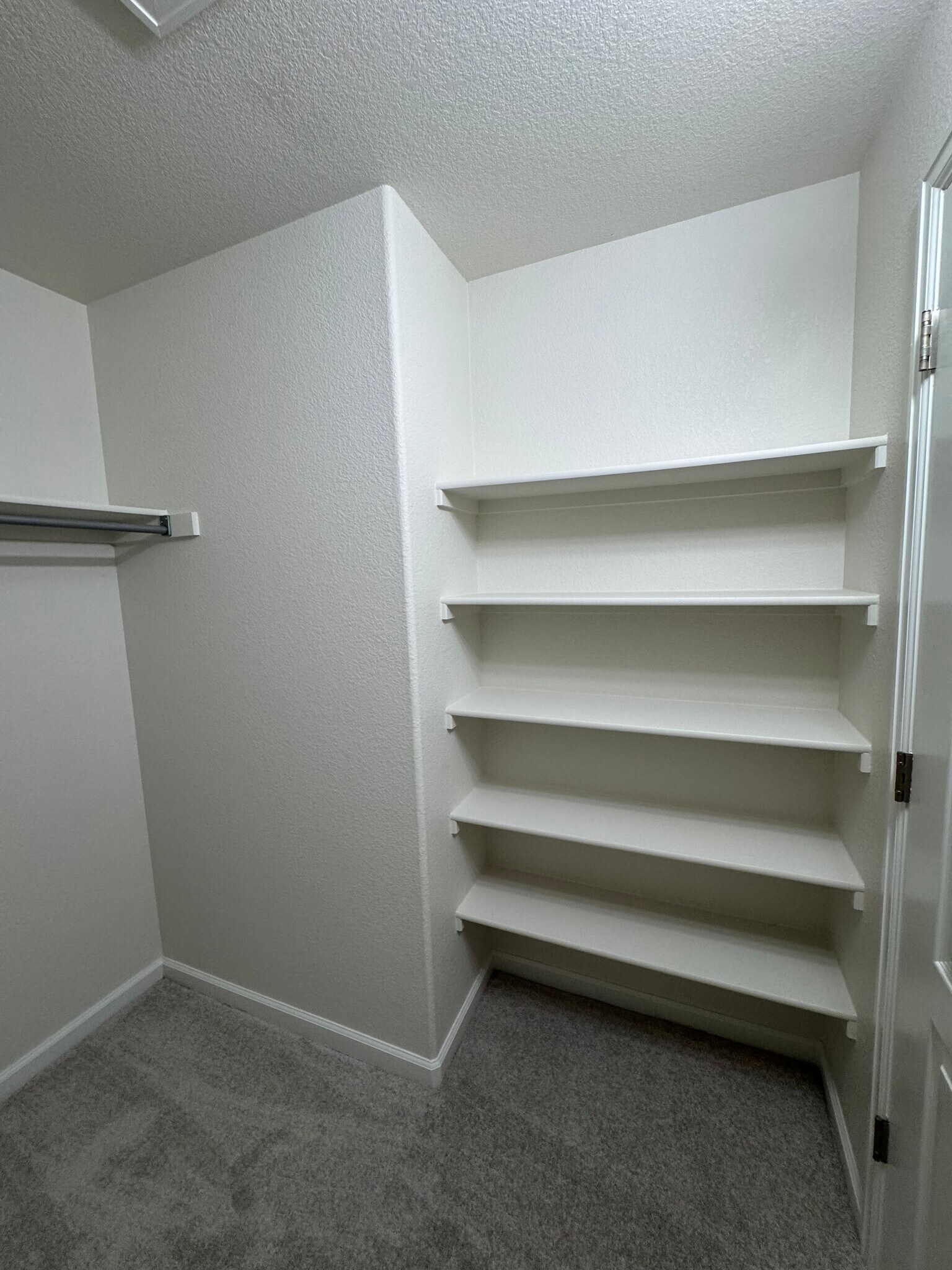 Building Photo - 4715 Hahns Peak Dr
