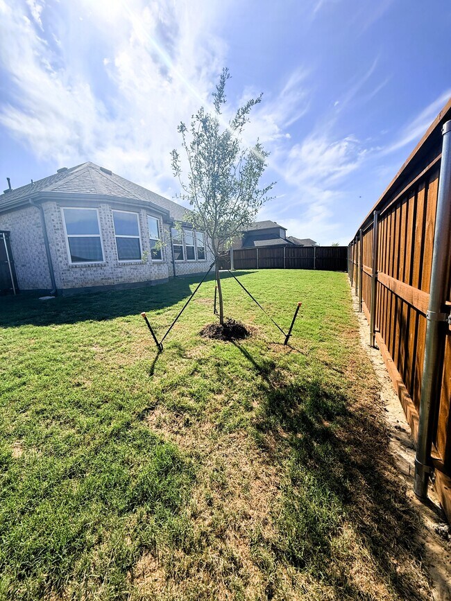 Building Photo - 4349 Noble Ln