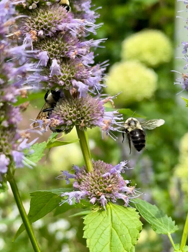 Building Photo - 54 River Dr