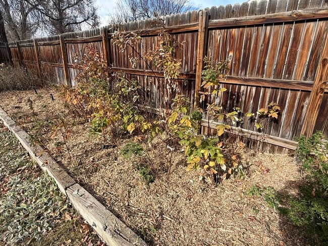 Building Photo - 12255 W 13th Ave