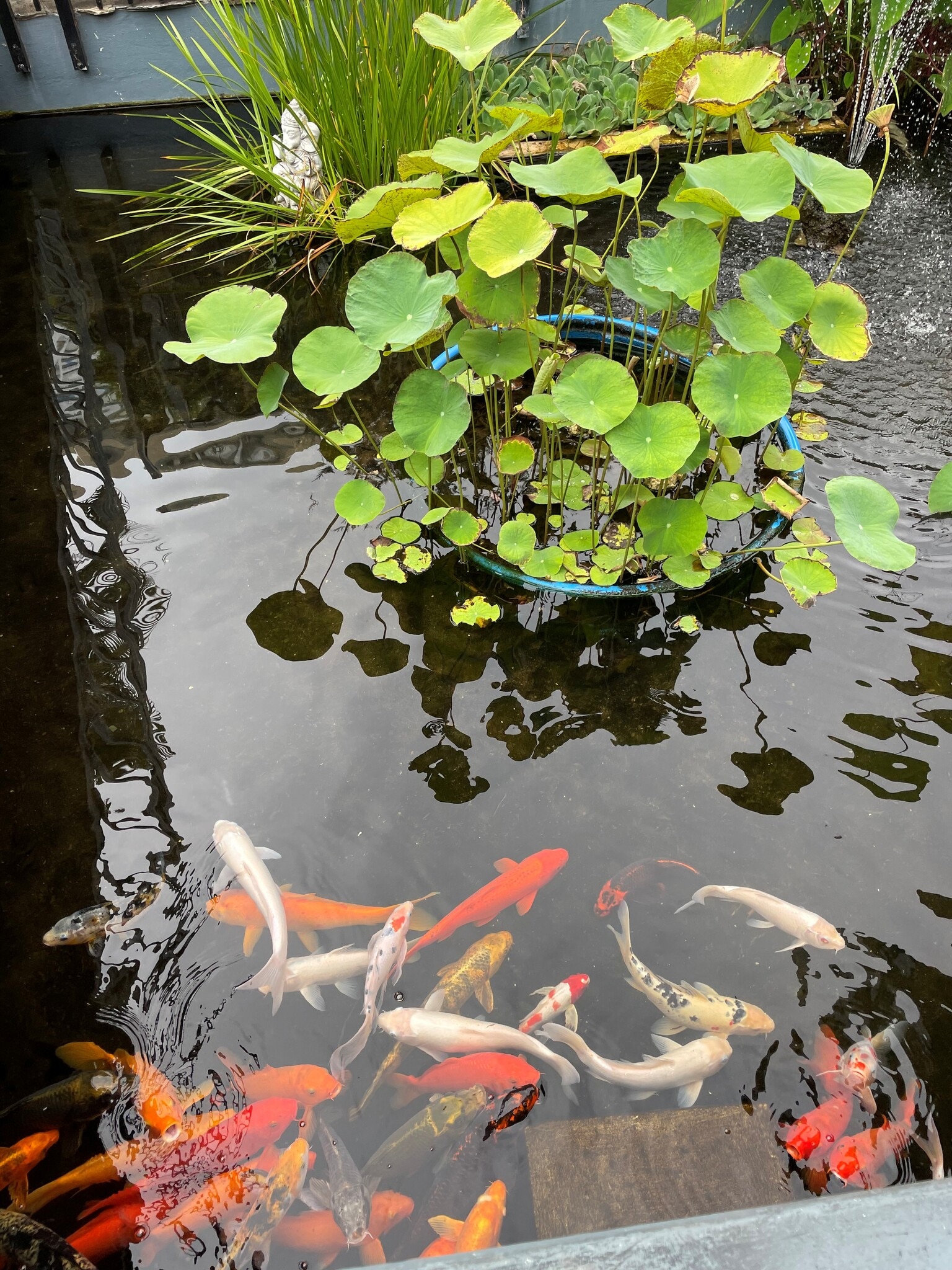 Building Photo - 1550 Rycroft St