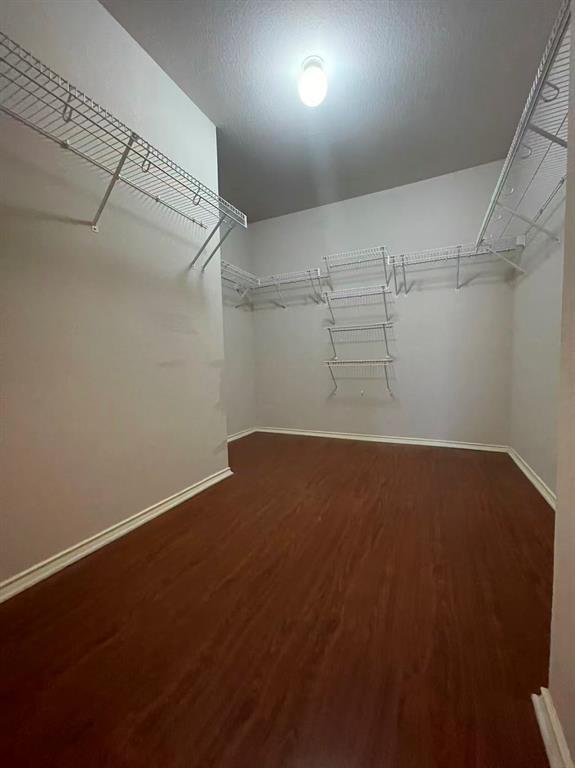 Building Photo - 2416 Socorro Bend