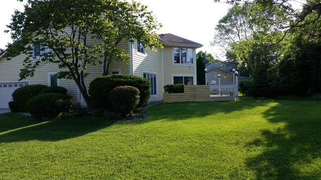 Back yard, patio - 14520 W Maylore Ct