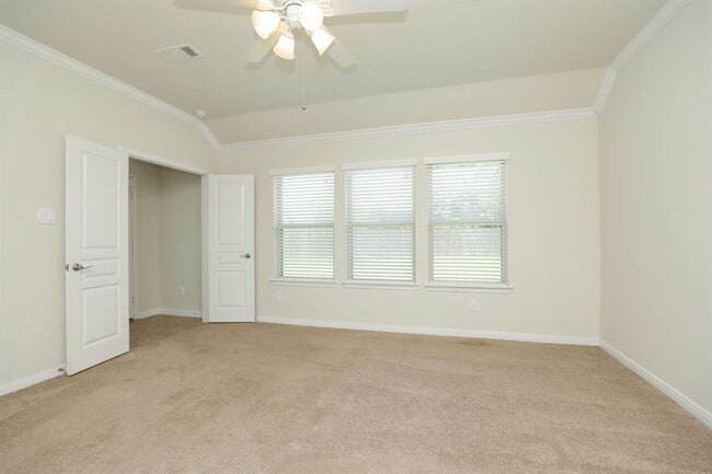 Building Photo - 4802 Elenas Bend Ct